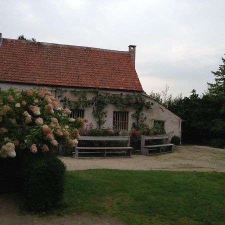 Trommelhoeve Farm Lofts Boechout Eksteriør bilde